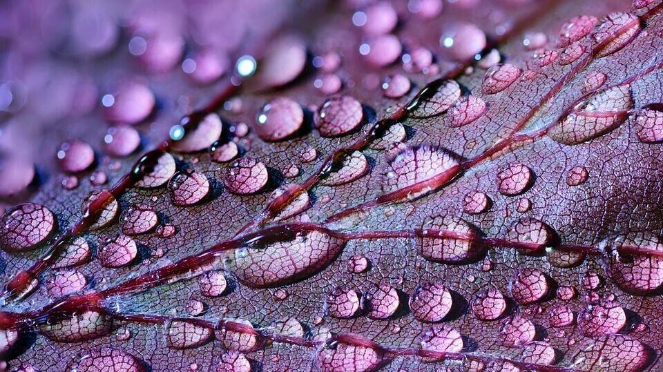 abstract-2432391_960_720|apple_mocks